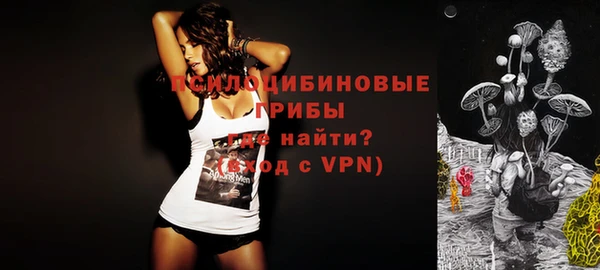 ПСИЛОЦИБИНОВЫЕ ГРИБЫ Магадан
