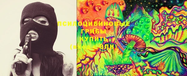 ПСИЛОЦИБИНОВЫЕ ГРИБЫ Магадан