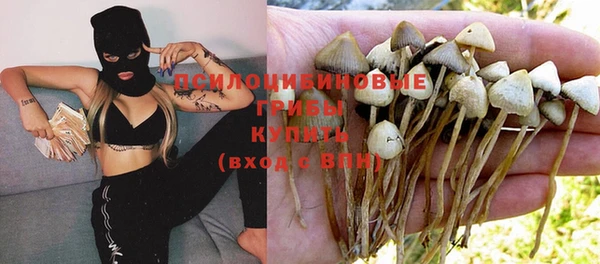 а пвп мука Магас