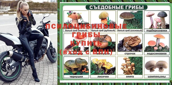 а пвп мука Магас