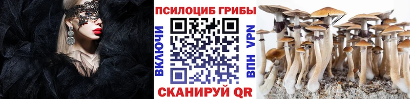 Псилоцибиновые грибы прущие грибы  Пугачёв 