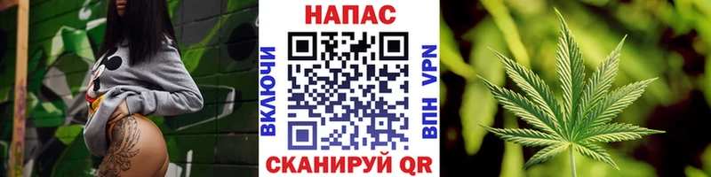 Бошки Шишки сатива Пугачёв